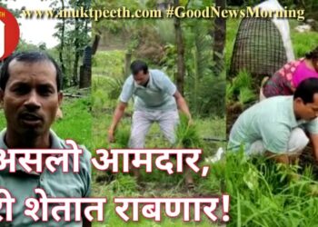 असलो आमदार, तरी शेतात राबणार!