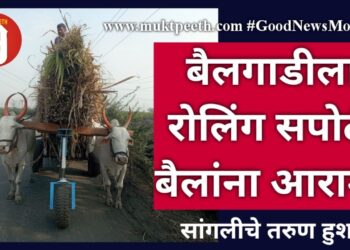 बैलगाडीला रोलिंग सपोर्ट, बैलांना आराम! सांगलीचे तरुण हुशार…