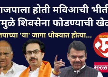 भाजपाला होती मविआची भीती , त्यामुळे शिवसेना फोडण्याची खेळी! भाजपाच्या ‘या’ जागा धोक्यात होत्या…