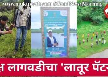 वृक्ष लागवडीचा ‘लातूर पॅटर्न’!