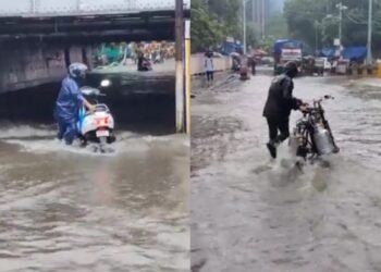 What Is Meaning Of Color vice Alerts know In Marathi