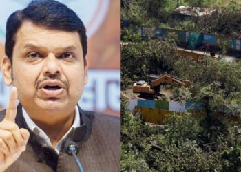 devendra Fadnavis decides to set up metro car shed in Aarey forest