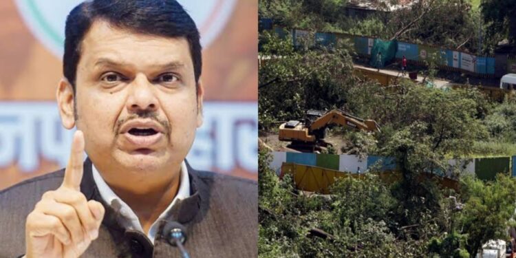 devendra Fadnavis decides to set up metro car shed in Aarey forest