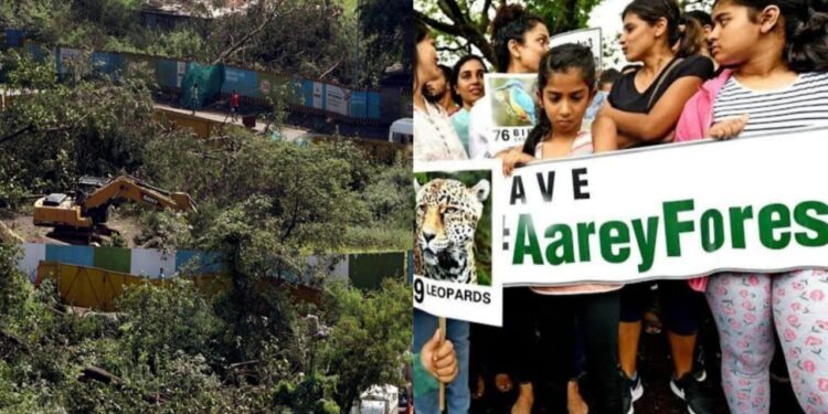 SAve Aarey
