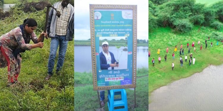 Latur Tree Plantation