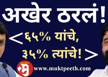 maharashtra shinde fadnavis ministry share