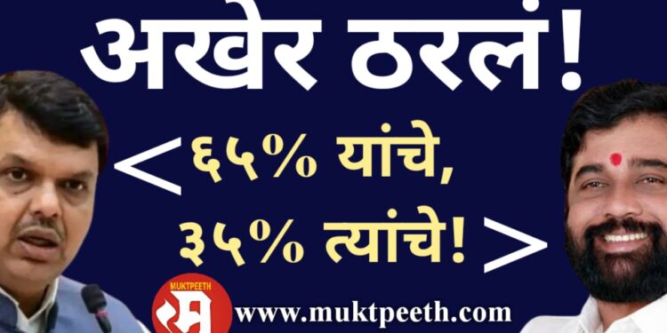 maharashtra shinde fadnavis ministry share