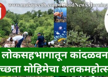 लोकसहभागातून कांदळवन स्वच्छता मोहिमेचा शतकमहोत्सव!