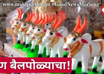 बैलपोळ्याचा सण…शेतकऱ्यांच्या उत्साहाला उधाण, बाजारही सजला!