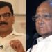 Sanjay Raut and Sharad Pawar