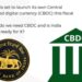 RBIs Digital Currency