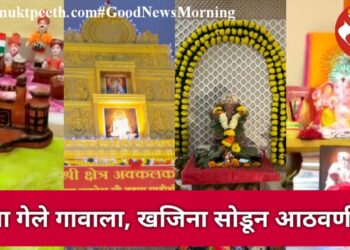 बाप्पा गेले गावाला, खजिना सोडून आठवणींचा!