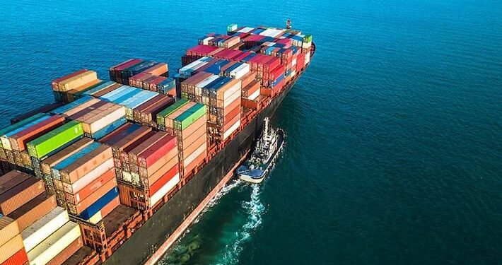 Export of 'vegan' plant-based meat products from India to US