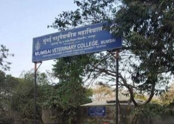 aarey mumbai animal hospital