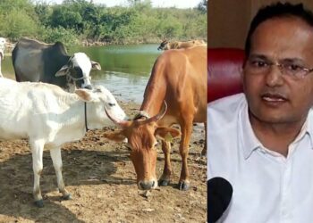 Animal Husbandry Commissioner Sachindra Pratap Singh - मुक्तपीठ