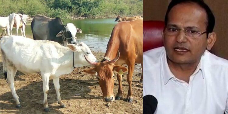 Animal Husbandry Commissioner Sachindra Pratap Singh