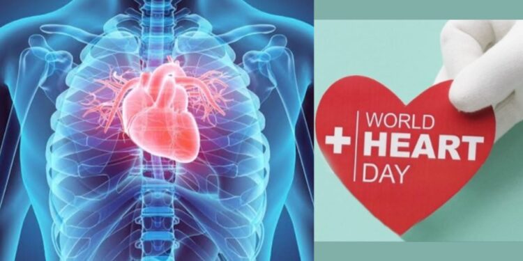 World Heart Day
