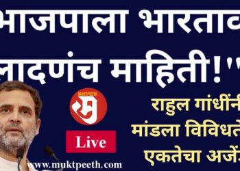 “भाजपाला भारतावर लादणंच माहिती!” राहुल गांधींनी मांडला विविधतेतून एकतेचा अजेंडा
