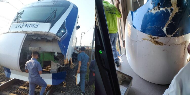 Vande Bharar Accident Again In Gujarat, Third Incident In One Month