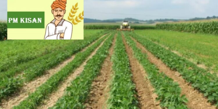 Pradhan Mantri Kisan Samman Nidhi Yojana