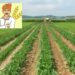 Pradhan Mantri Kisan Samman Nidhi Yojana