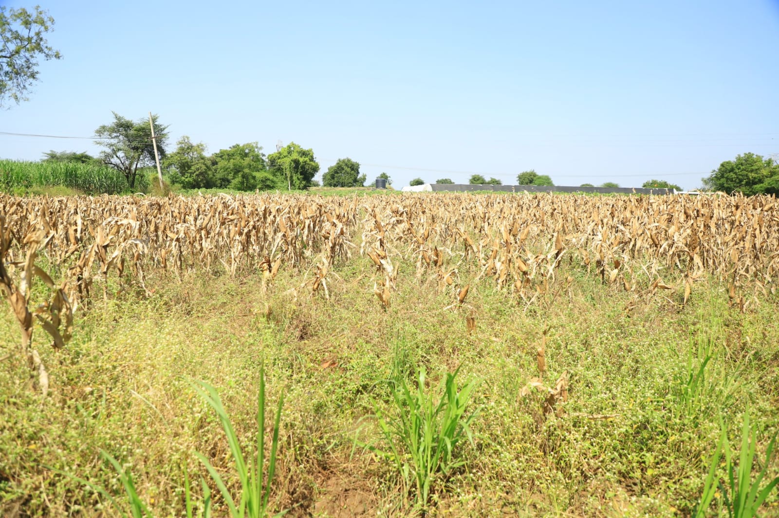  Sambhajinagar