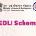 EDLI Scheme