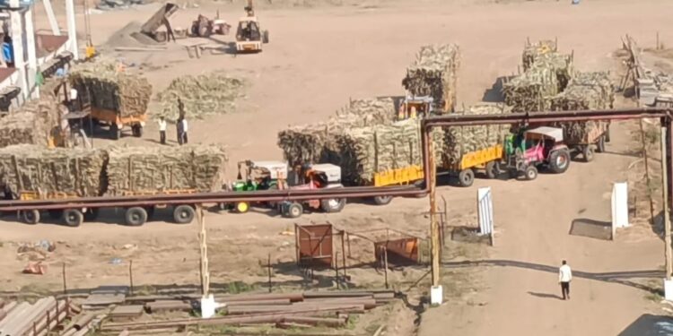 solapur vp sugar cushing season starts