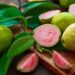Health Benefits of Guava!