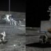 Human Settlements on the Moon