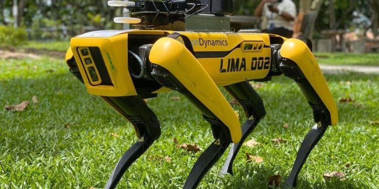Tefi Robotic Dog