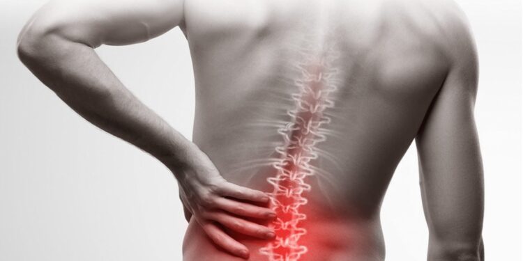 कंबर, पाठ दुखतेय? कामाच्या वेळी बसण्याची चुकीची पद्धत तर कारण नाही?